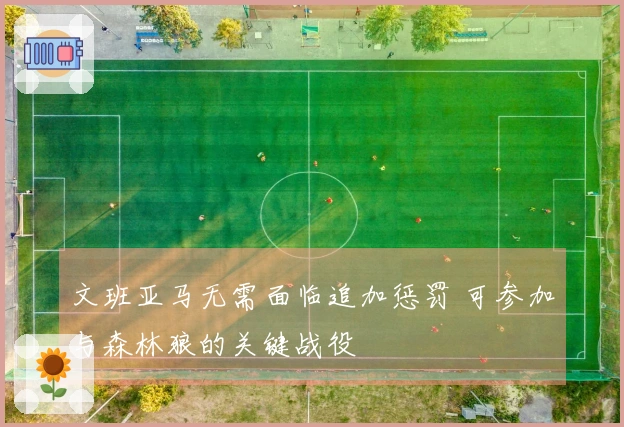 文班亚马无需面临追加惩罚 可参加与森林狼的关键战役