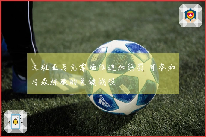 文班亚马无需面临追加惩罚 可参加与森林狼的关键战役
